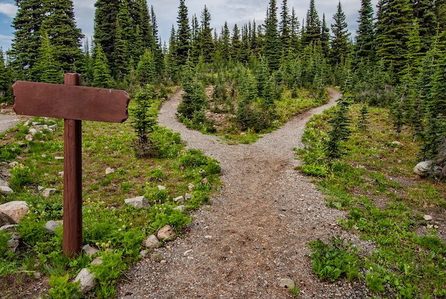 Exposing the Potential: Leveraging Reverse Mortgages for Your Wilderness Adventure